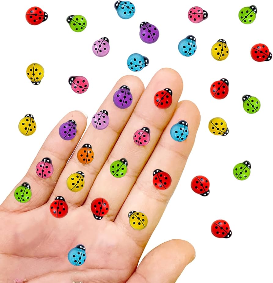Lady Bug Sticker