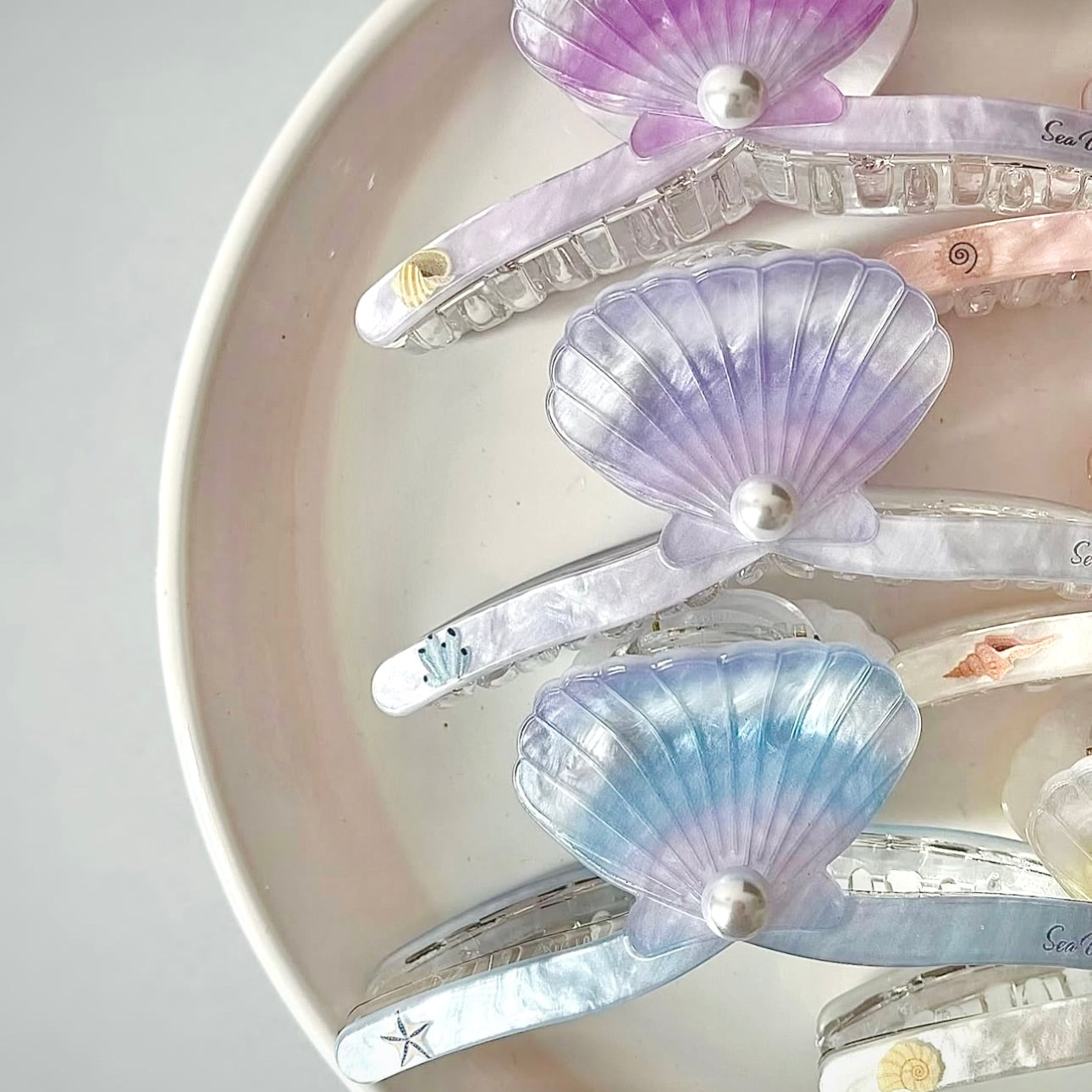 Shell Hair Clips