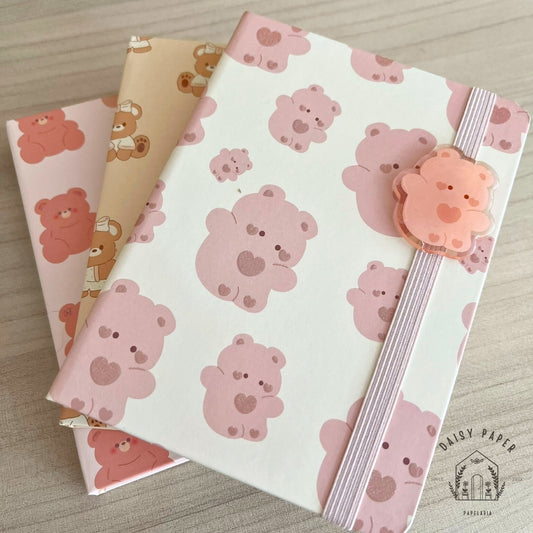 Mini Teddy Diary