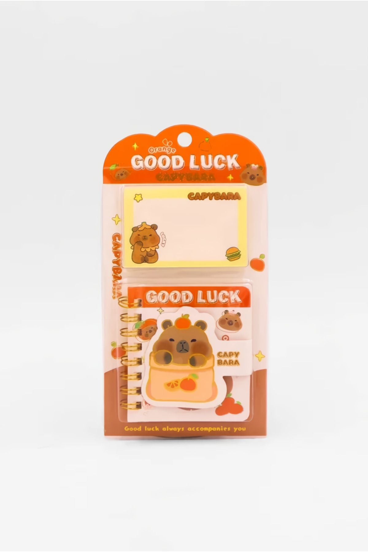 Capybara Sticky Note With Diary