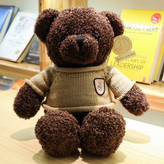 Teddy Plush Toy