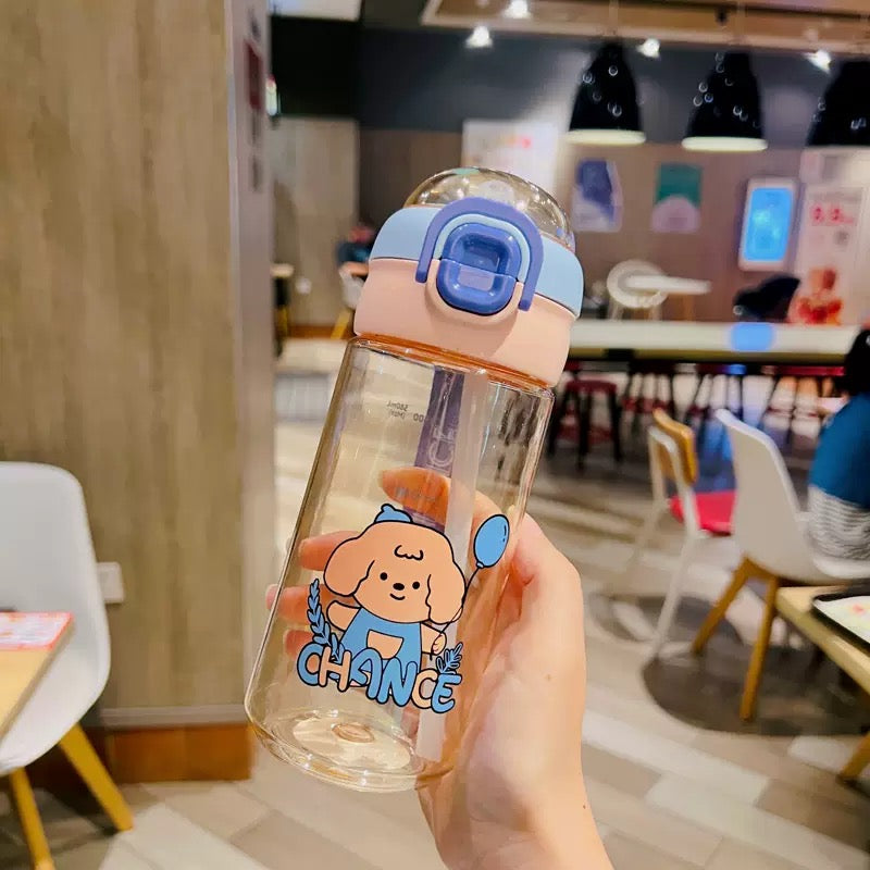 Kawaii Water Bottle