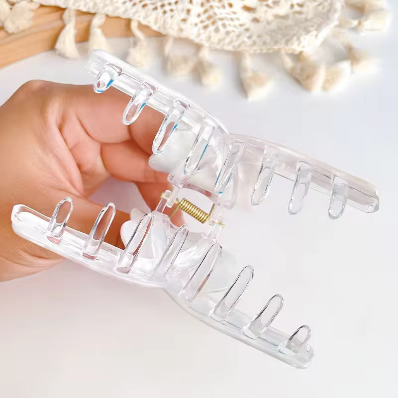 Shell Hair Clips