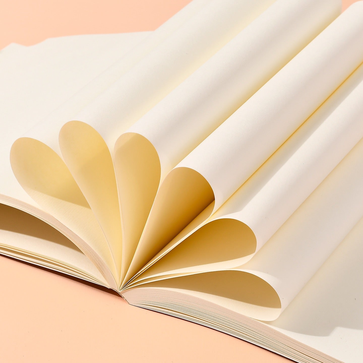 Happy Sweet Pet Drawing Book