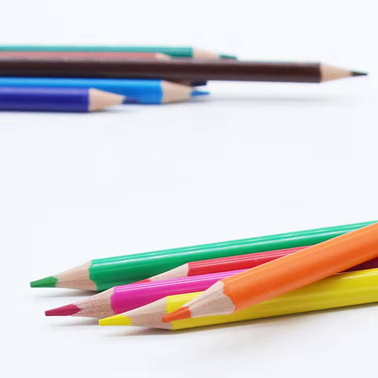 Professional Color Pencils