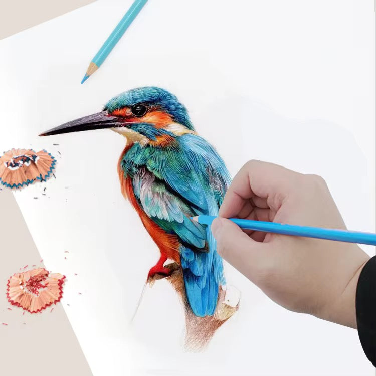 Professional Color Pencils
