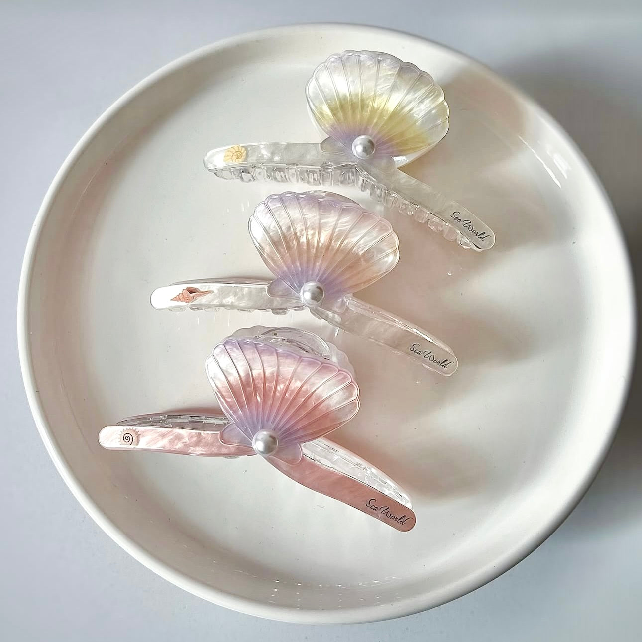 Shell Hair Clips
