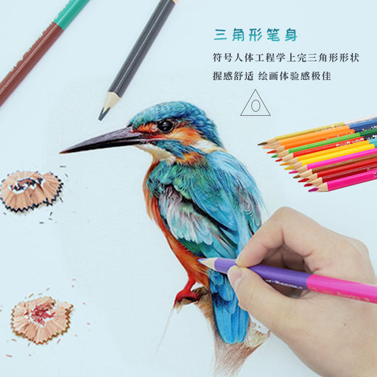 Color Pencil With Painting Brush