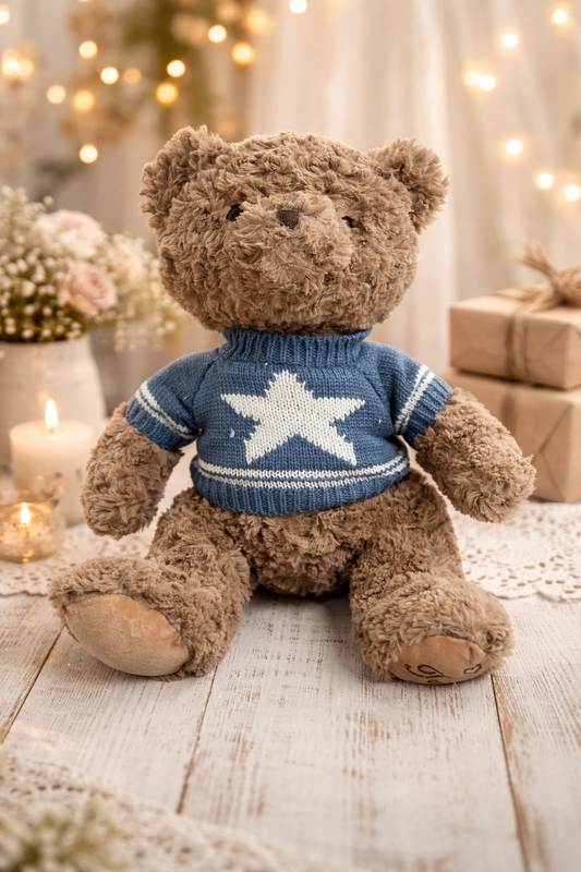 Teddy Bear Plush Toy