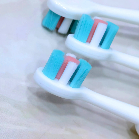 Dino Kids Brush
