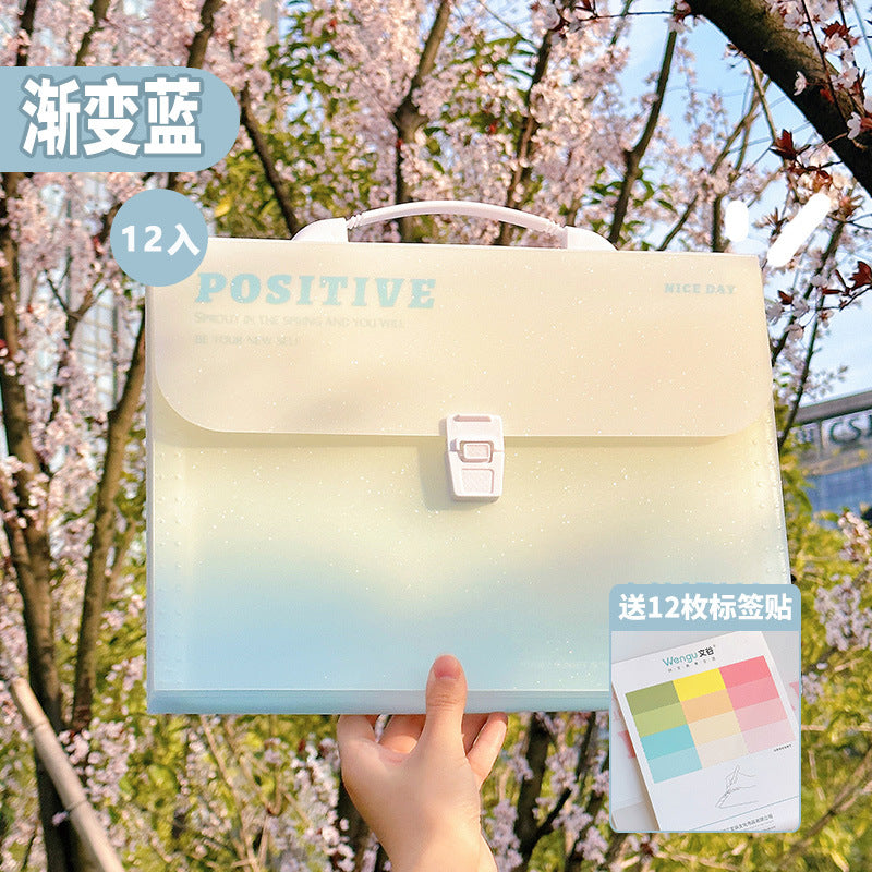 Large Capacity File Folder