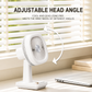 Breezy Desk Fan