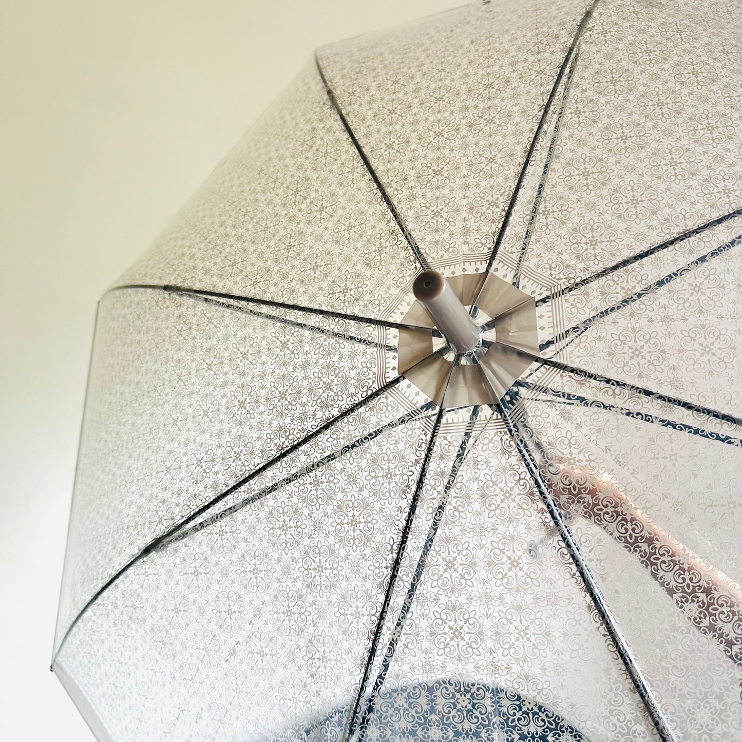 Kawaii Transparent Umbrella