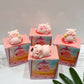 Piggy Blind Box