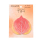 Leaf Sticky Note