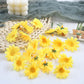 Sunflower Flowers 10pcs Set