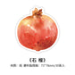 Watercolor Fruits Sticky Note