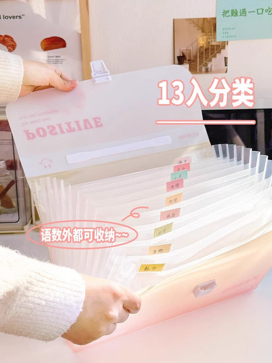 Large Capacity File Folder