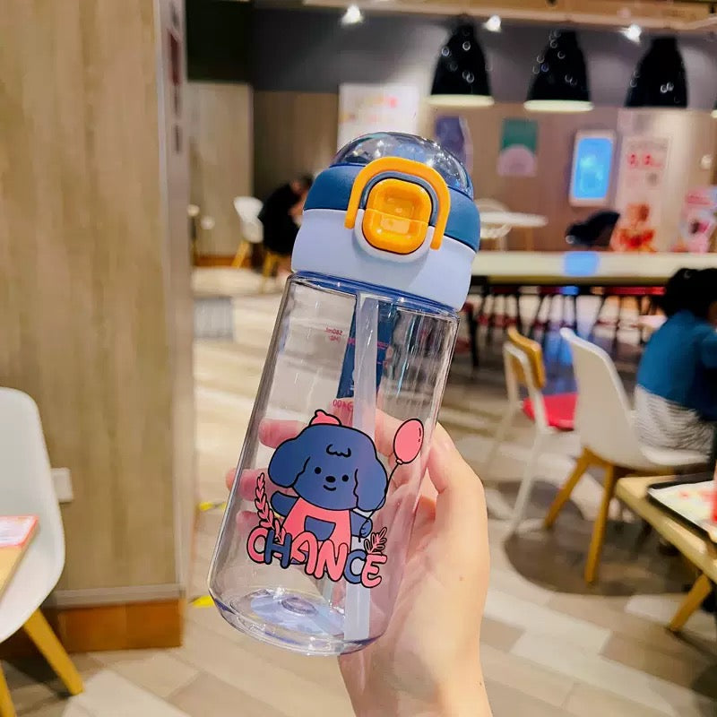 Kawaii Water Bottle