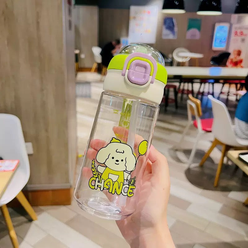 Kawaii Water Bottle