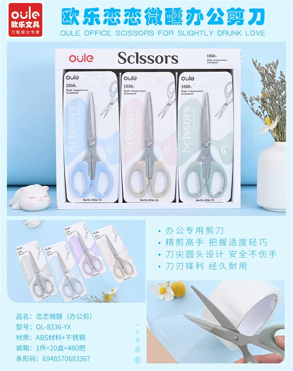 Premium Stainless Scissors