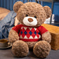 Teddy Bear Plush Toy