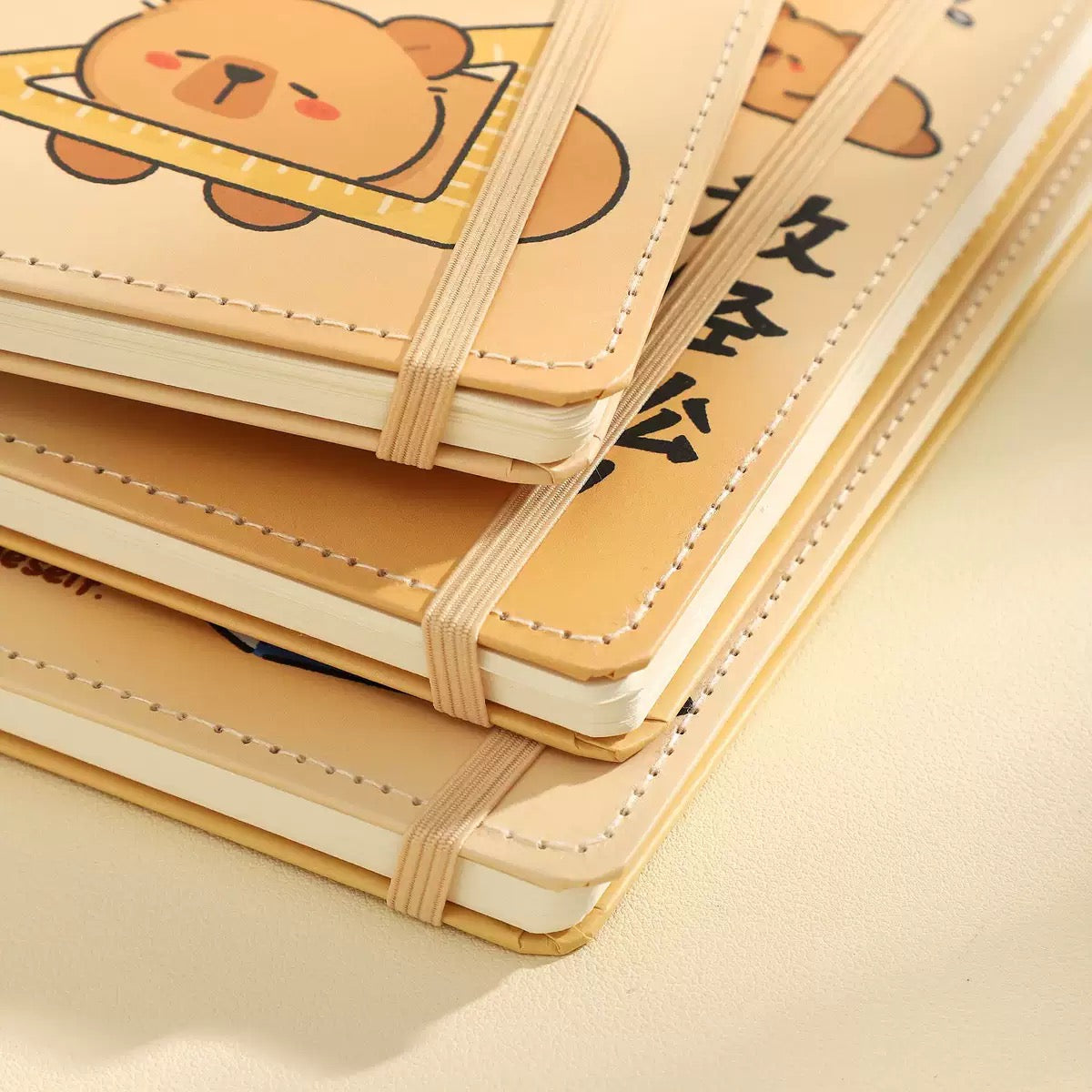 Capybara Disc Notebook