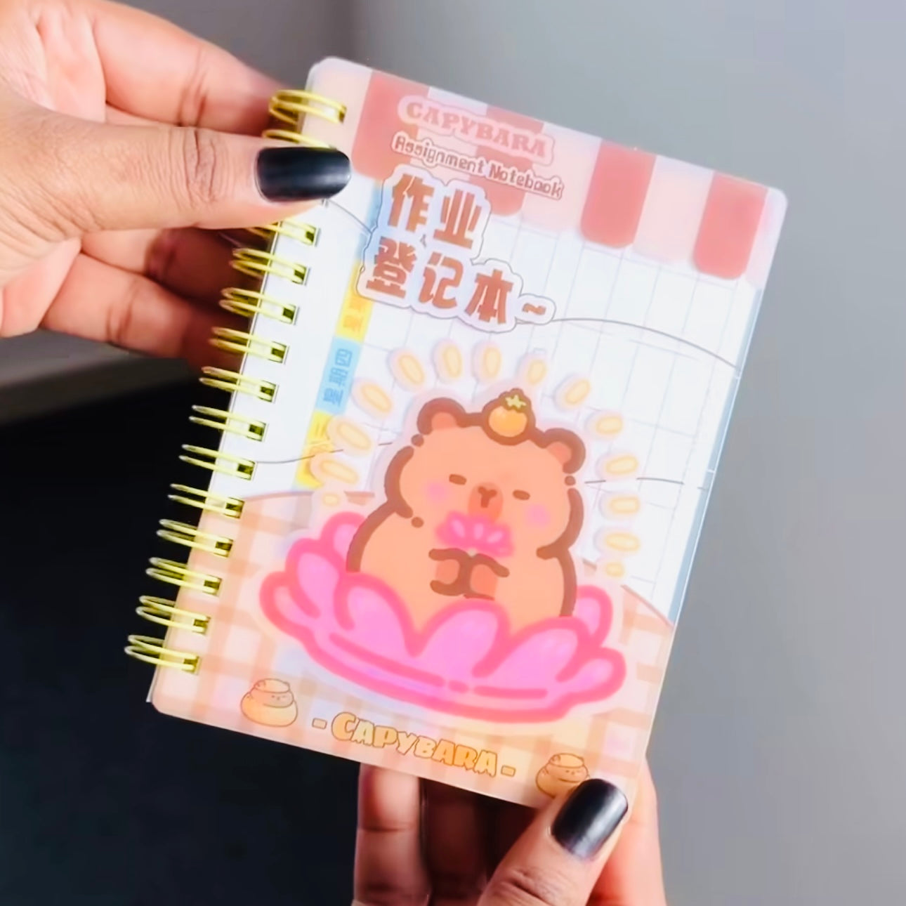 Capybara Mini Notebook
