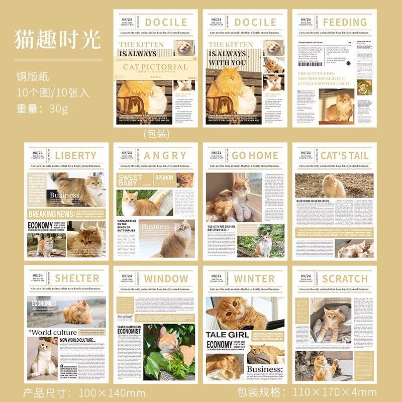 Cat Newspaper Deco Sticker
