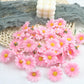 Sunflower Flowers 10pcs Set