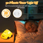 Taxi Car Night Lamp