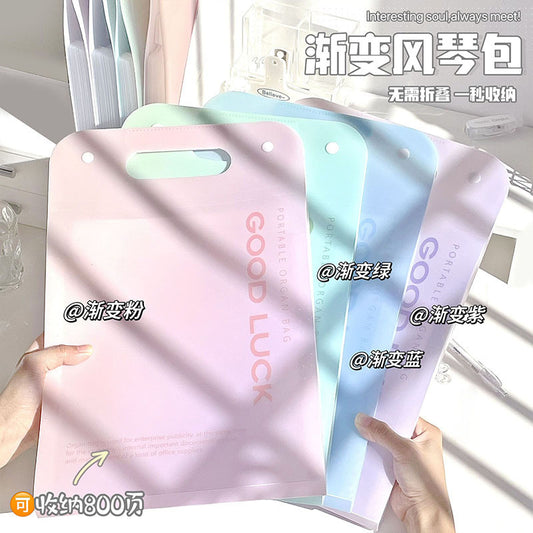 Kawaii A4 File Folder