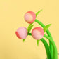 Peach Dancing Pen