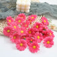 Sunflower Flowers 10pcs Set
