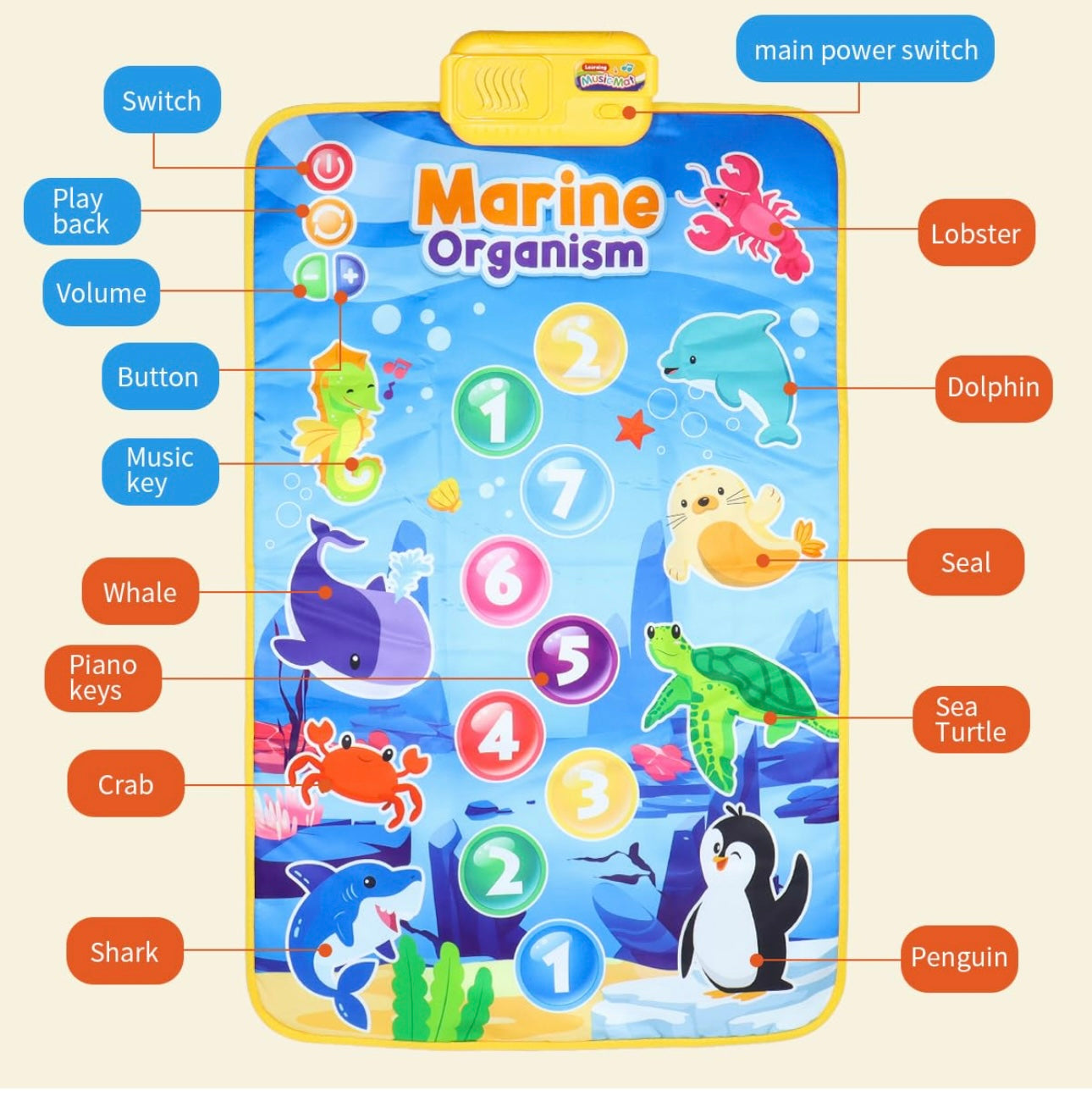 Baby Toddler Mat