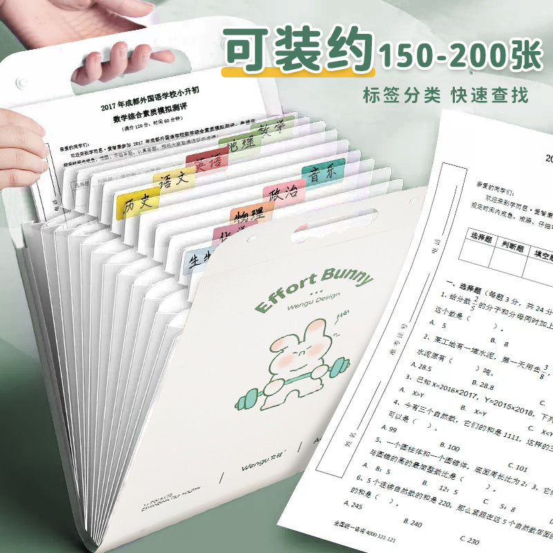 Large Capacity File Folder