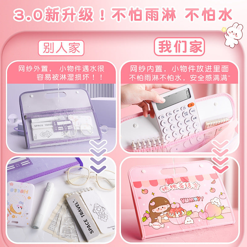 Kawaii Large Capacity File Folder