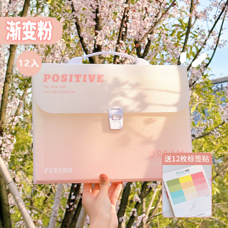Large Capacity File Folder