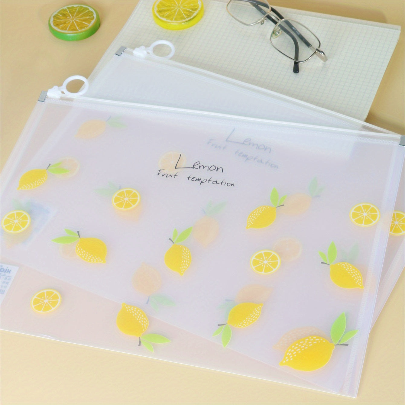 Transparent File Bag