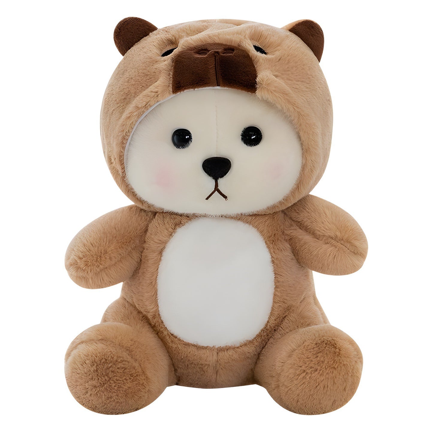 Hooded Teddy Plush Toy