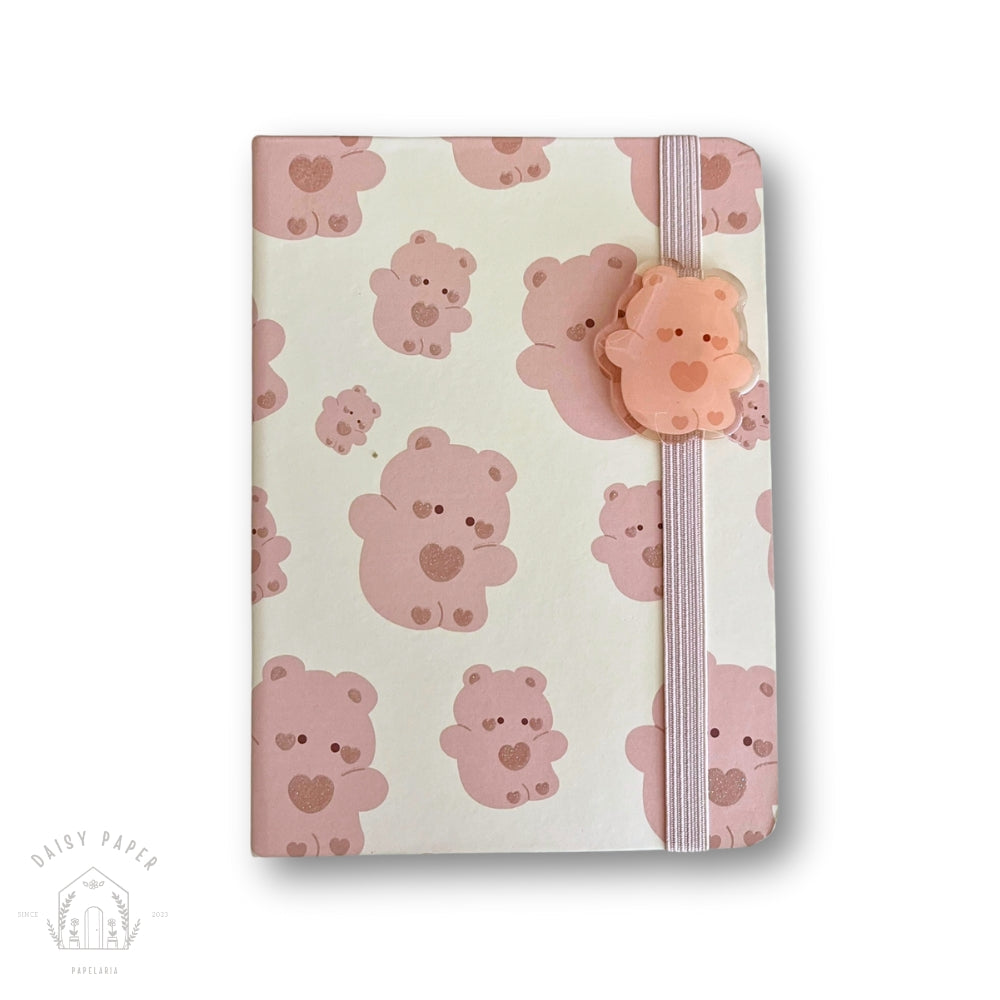 Mini Teddy Diary