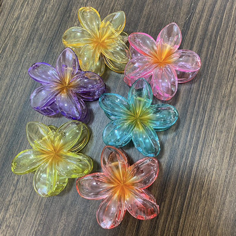 Transparent Floral Claw Clips
