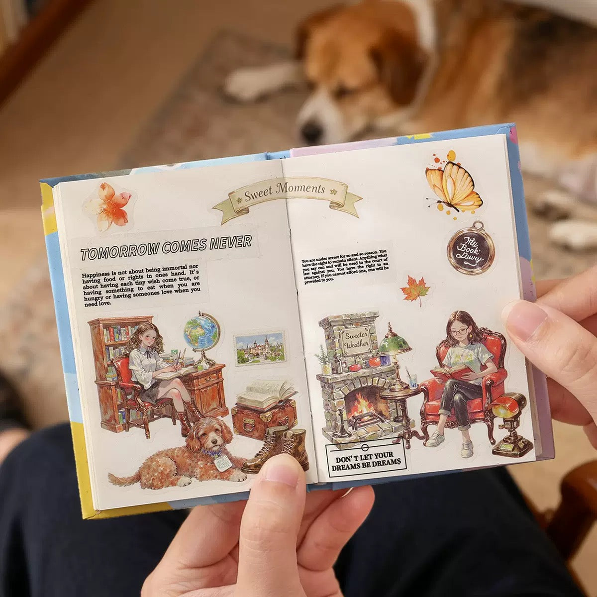 Girly Seasonal Deco Sticker