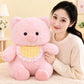 Piggy Plushie