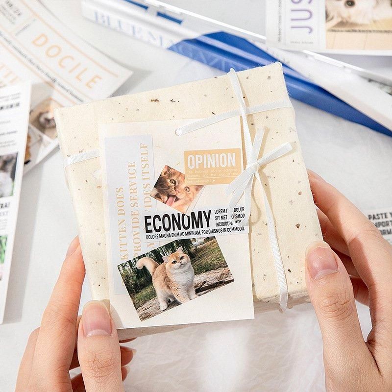 Cat Newspaper Deco Sticker