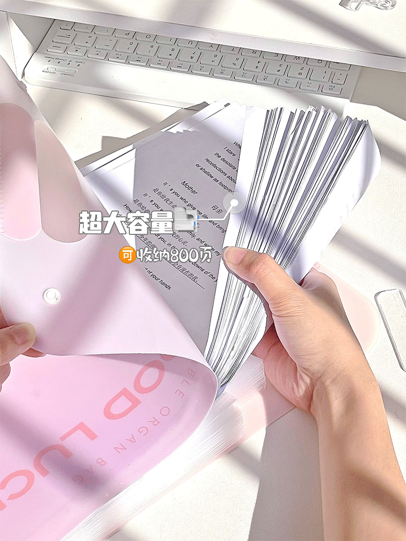 Kawaii A4 File Folder