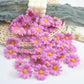 Sunflower Flowers 10pcs Set