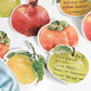 Watercolor Fruits Sticky Note
