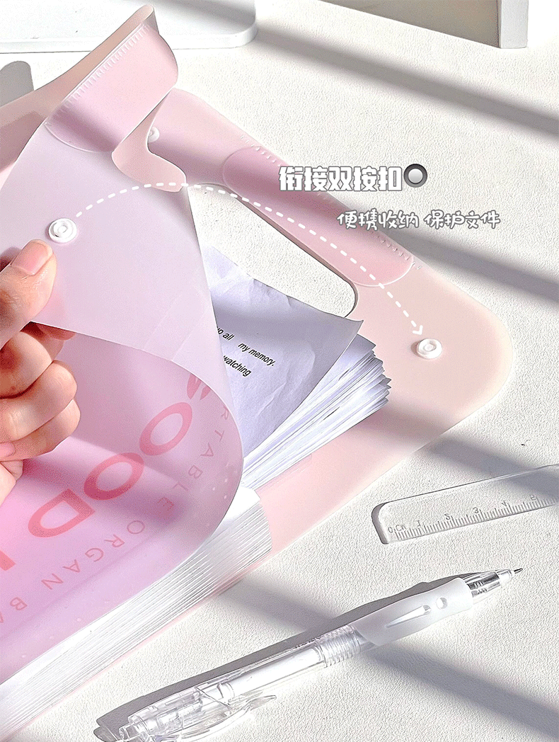 Kawaii A4 File Folder