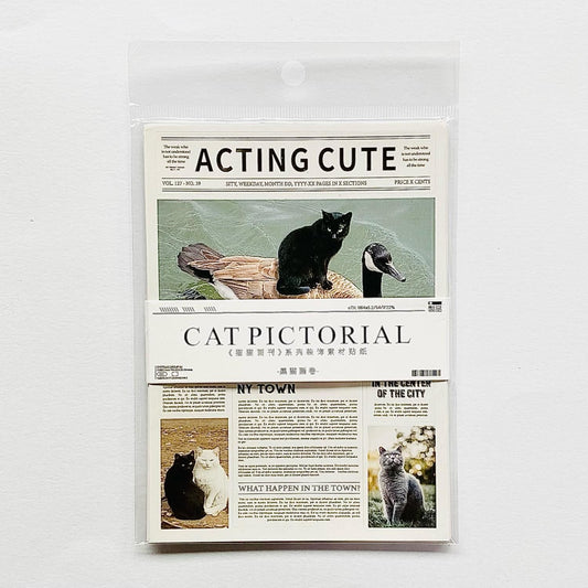 Cat Newspaper Deco Sticker